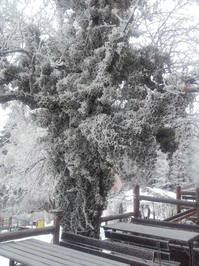 Chata Na Groniu Meszna Exterior foto